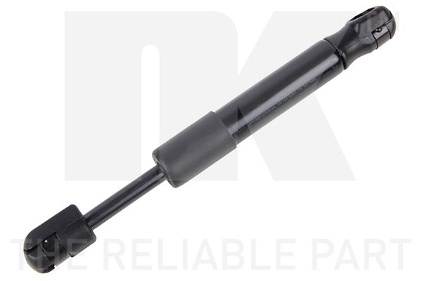 NK 5012541